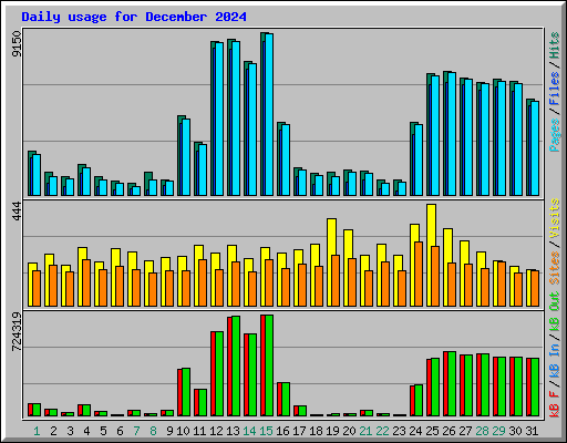 Daily usage for December 2024
