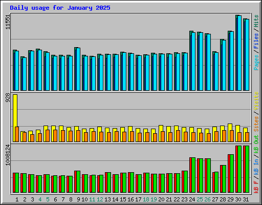 Daily usage for January 2025