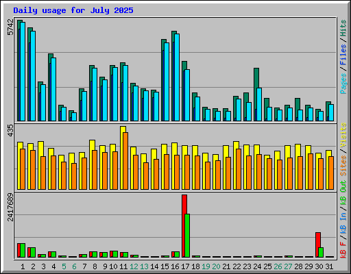 Daily usage for July 2025