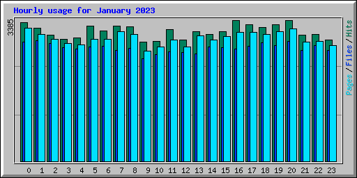 Hourly usage for January 2023