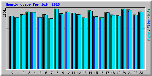 Hourly usage for July 2023