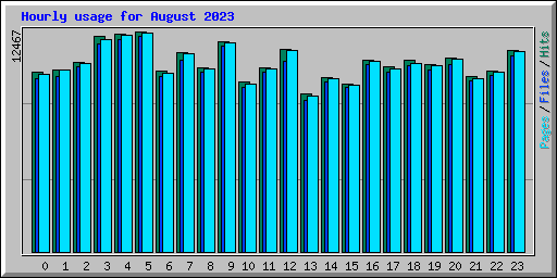 Hourly usage for August 2023