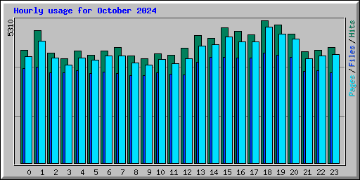 Hourly usage for October 2024