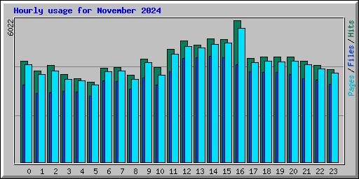 Hourly usage for November 2024