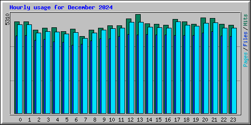 Hourly usage for December 2024