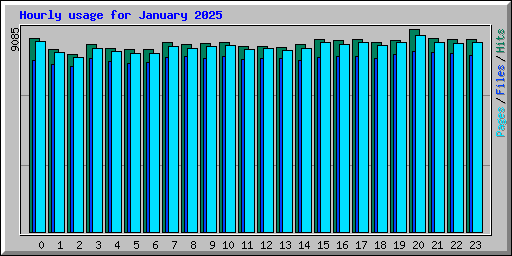 Hourly usage for January 2025