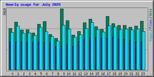 Hourly usage for July 2025