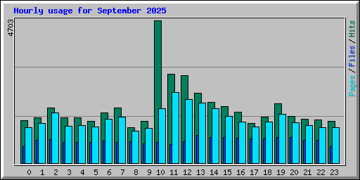 Hourly usage for September 2025