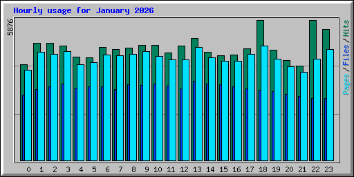 Hourly usage for January 2026