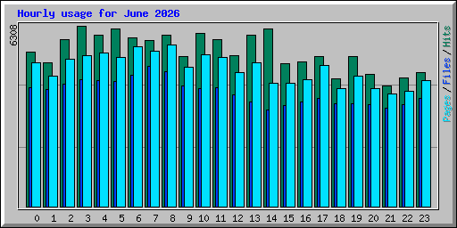 Hourly usage for June 2026