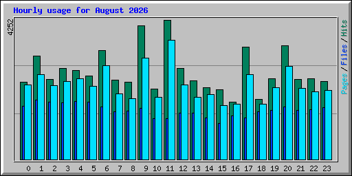 Hourly usage for August 2026